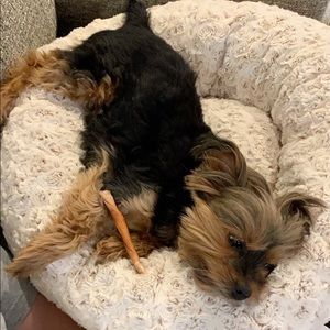 Meet your Posher, Makenna